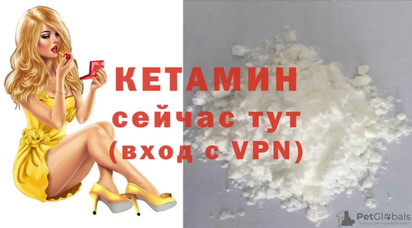 индика Михайловск