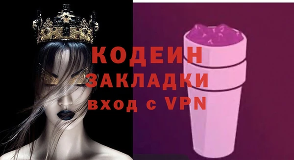 индика Михайловск