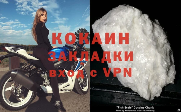 индика Михайловск