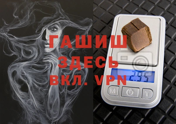 индика Михайловск
