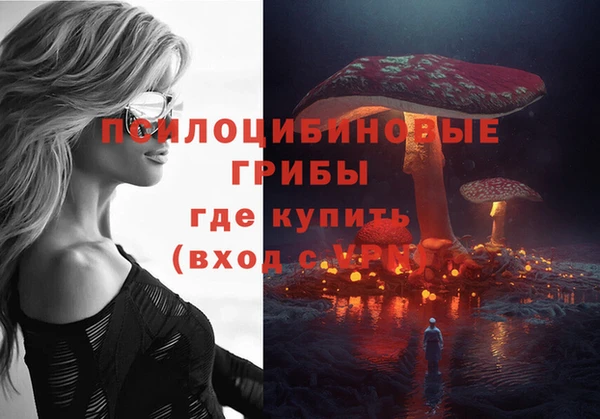 индика Михайловск