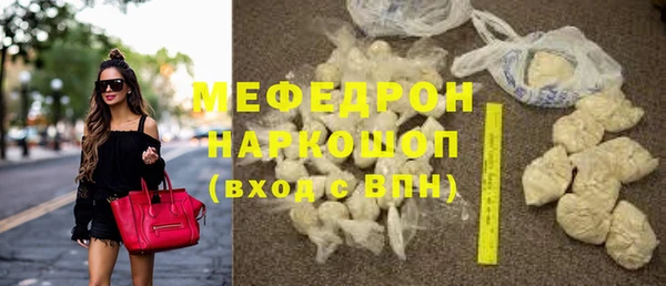 индика Михайловск