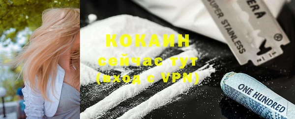 индика Михайловск