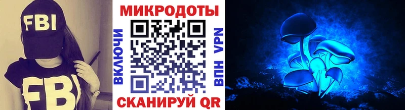 Галлюциногенные грибы мицелий Новомосковск